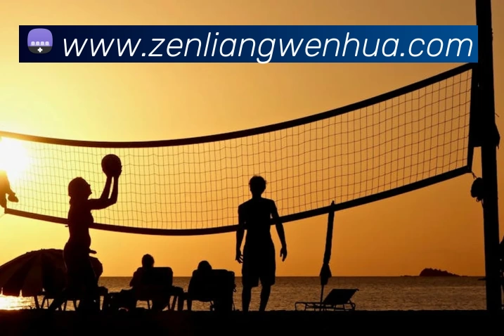 App Interface Preview