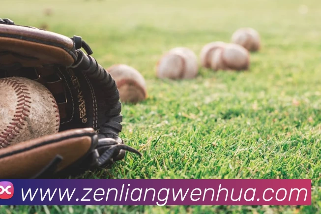 emc易倍·(中国)体育官方网站APP 封面图